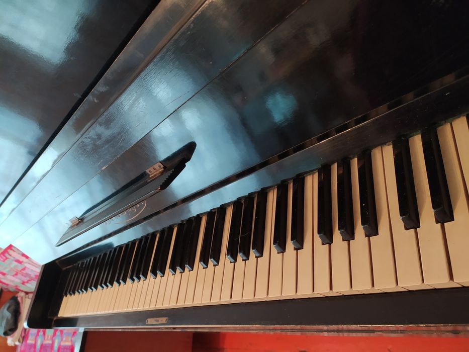 Пиянино Беларусь