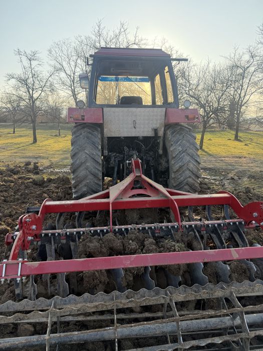 De vanzare case 1494