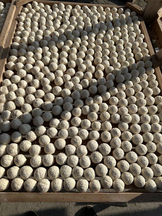 Сексуалдық нүктелер