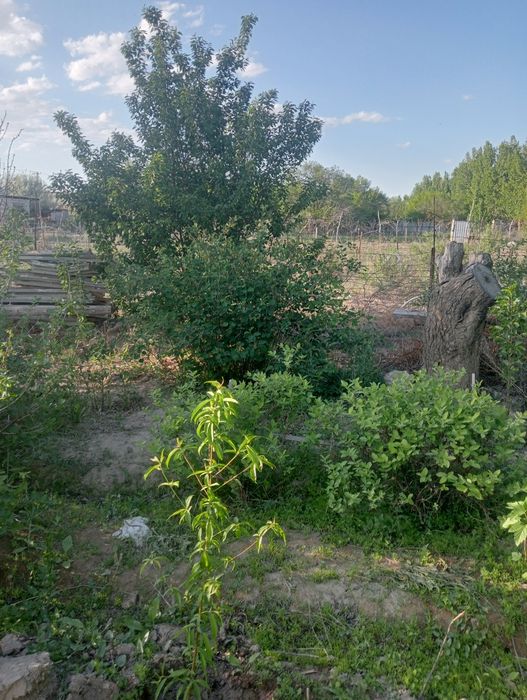 Продам дачу в П МК 52   Дом де комнаты и коридор