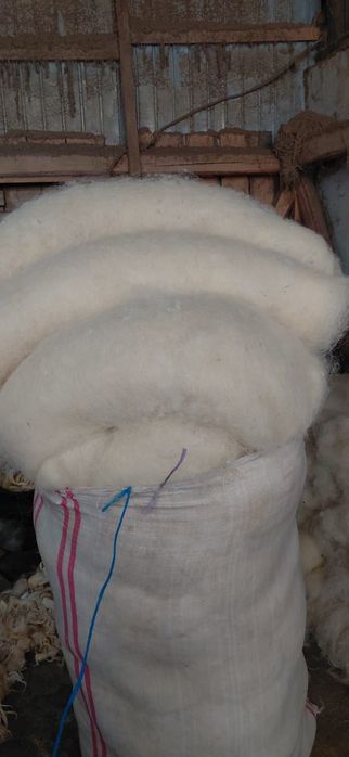 Lână spălată și prelucrată