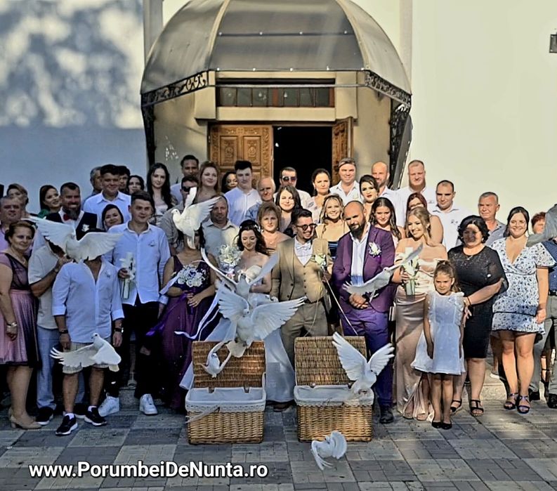 Porumbei albi pentru nunta Constanta