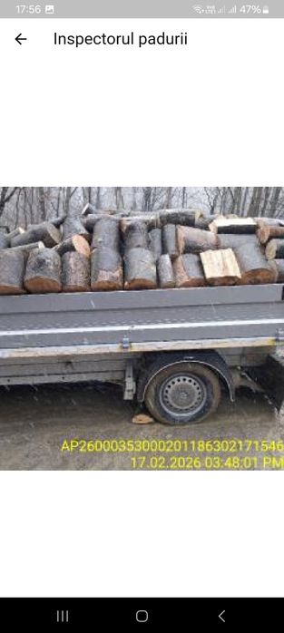 Vând lemne de foc esență tare