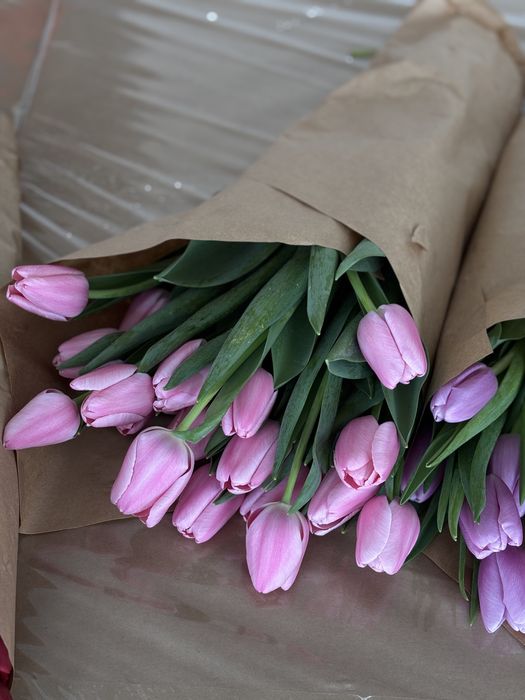 Тюльпаны на 7-8 марта