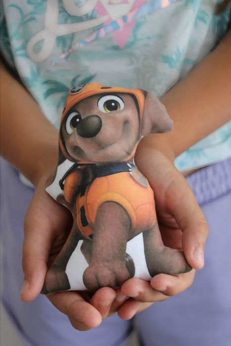 Пес патрул , Кученцата от Пес Патрул , Скай , Райдър , Paw patrol
