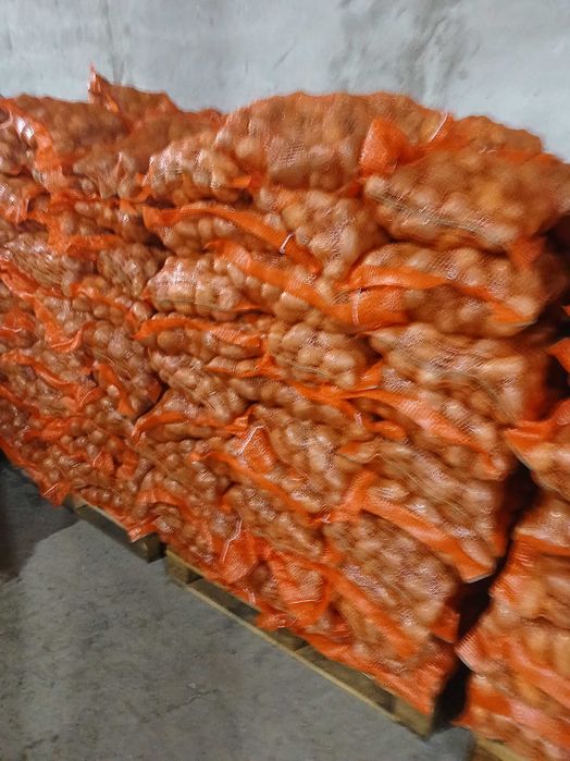 Cartofi alb 50+ direct de la producator