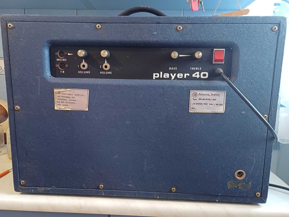 vand cub chitara italian vitange 40w/12inci