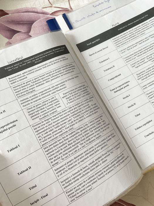 Portofoliu materie pentru Bacalaureat limba română