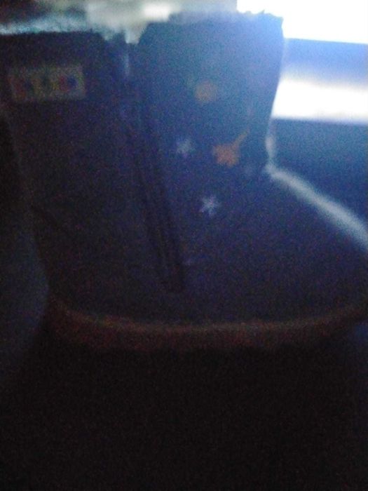 продам детские сапожки