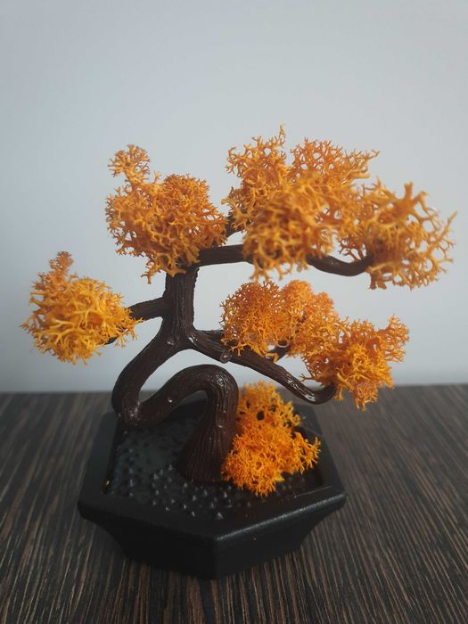 Кашпа със скандинавски мъх