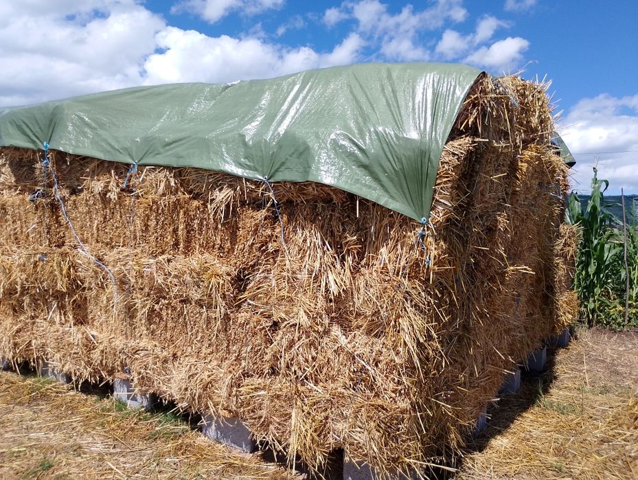 Baloți ovăz cu borciag