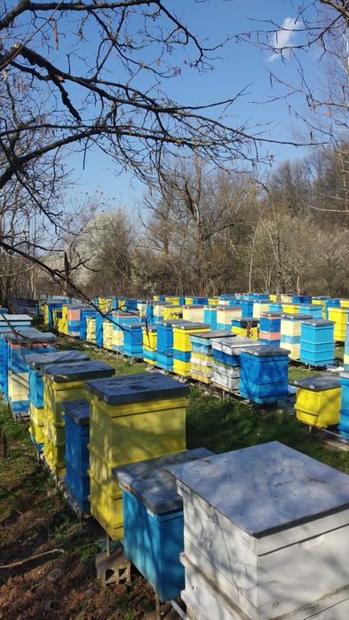 Продавам пчелни семейства