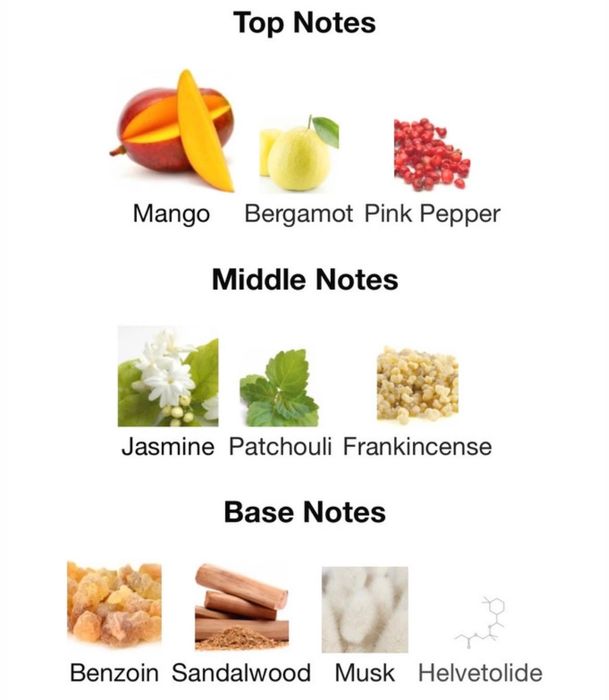 Parfum Paco Rabanne Fame