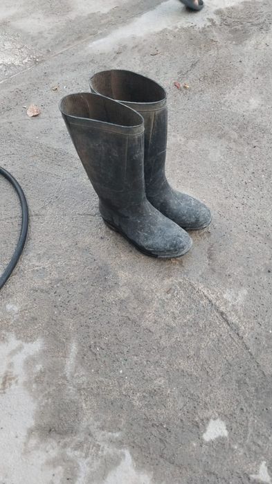Продается сапоги