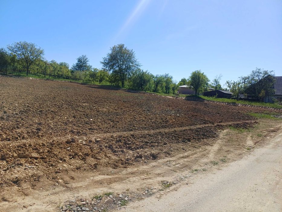 Terenul Perfect Pentru Casa Ta! Parcelă de 7 Ari într-o Zonă Superbă – Baia Sprie, Str. Murelor