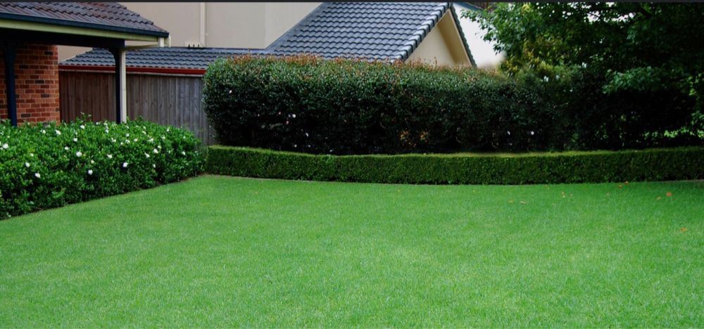 Gazon.Gullar.Archa.Landshaftdizayn.Daraxt