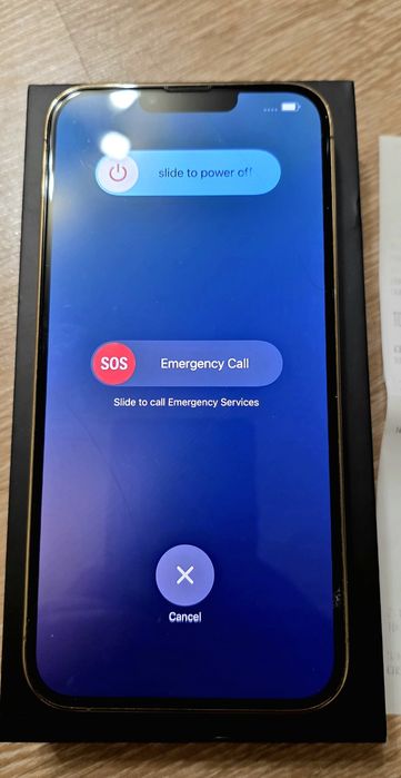 Apple Iphone 13 Pro Max Gold