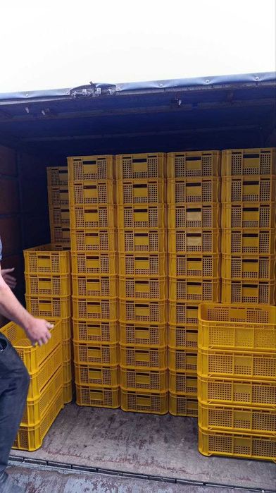 Yashik tovuq, broler, gosht uchun maxsus. Barcha talabga javob beradi