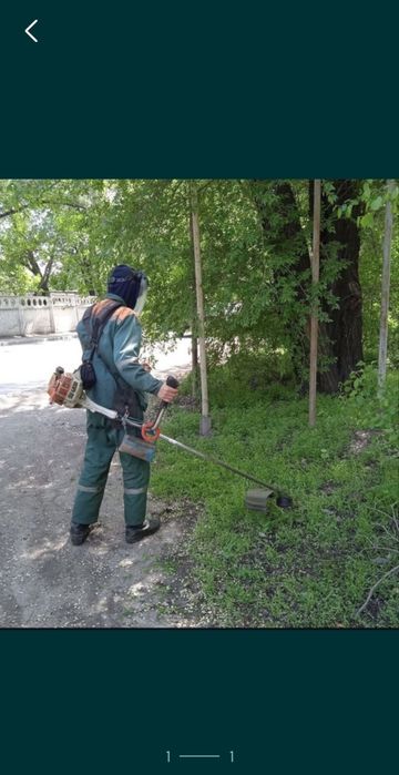 Ауланын шоп шабамыз