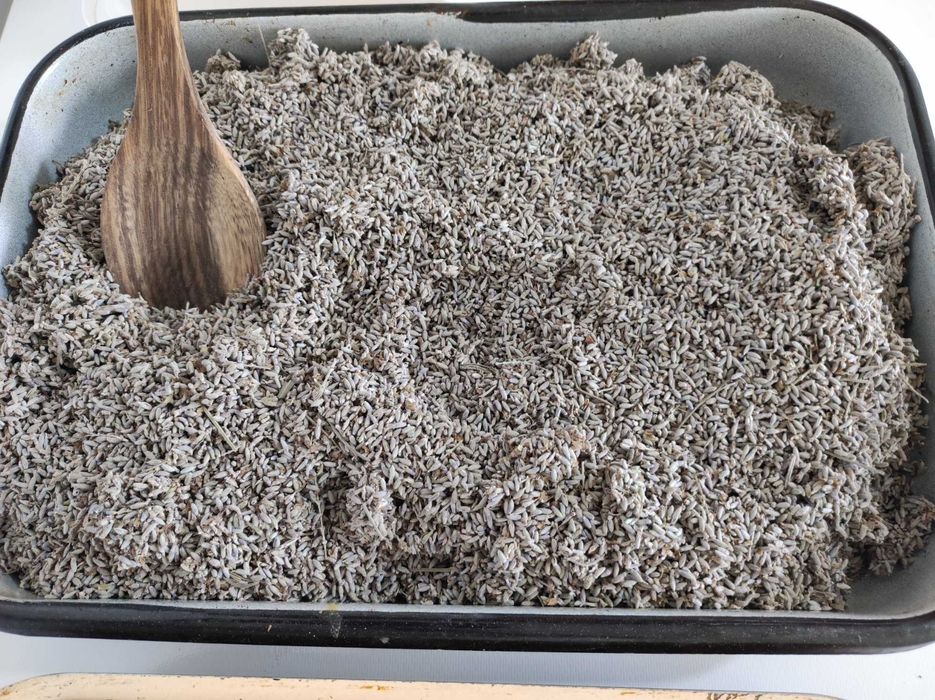 Продавам домашно отгледана орубена лавандула (само цвят)