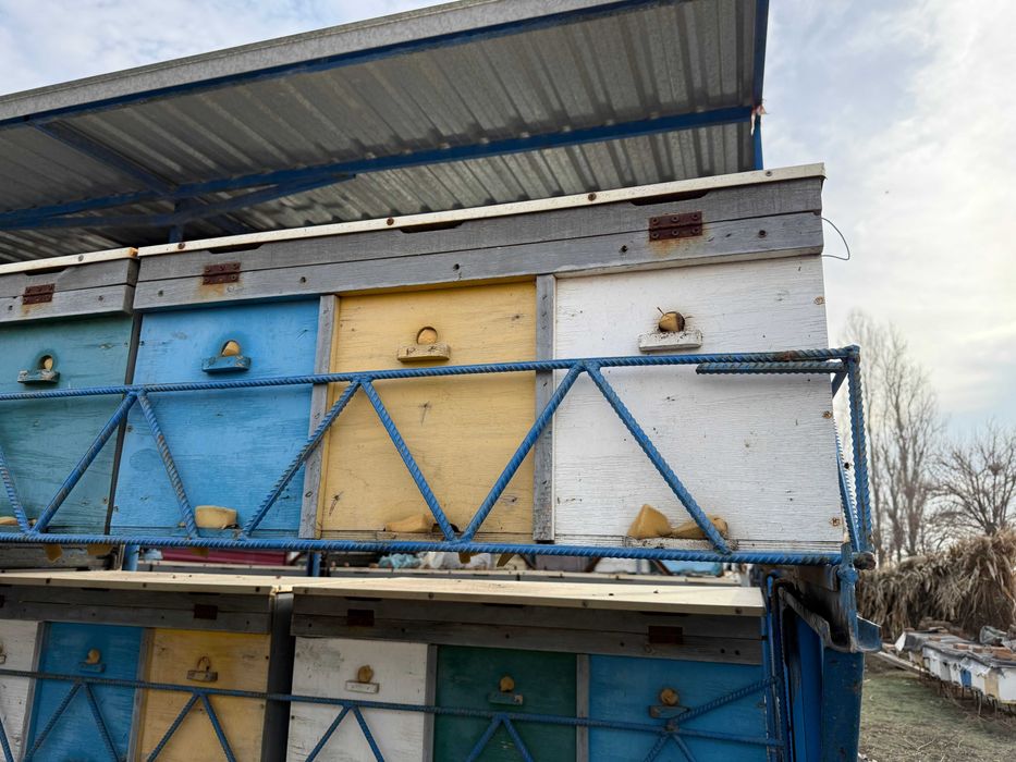 Продается пасека с прицепом