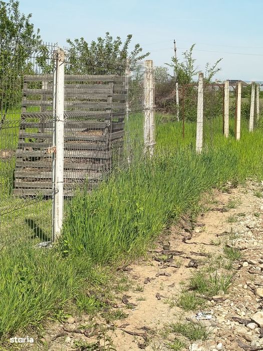 Vanzare teren 4000 mp Ulmi- Dambovita