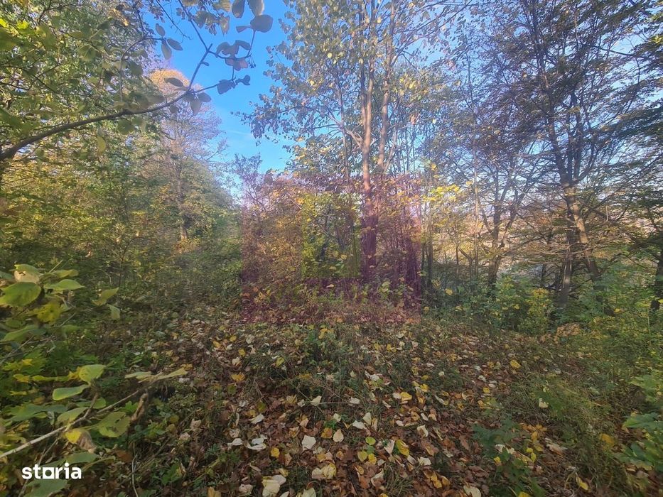Teren intravilan de vanzare in Telega
