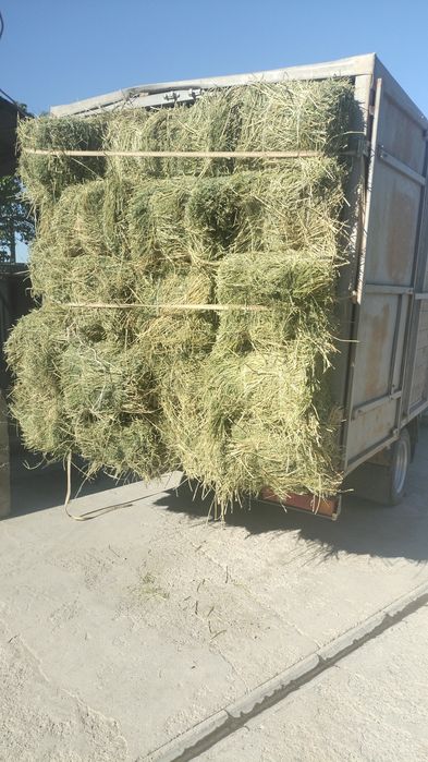 Жонишка пресс таза екінші орім