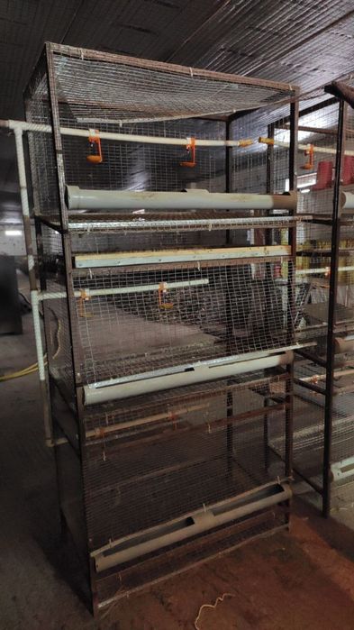 Клетки для кур / тауык клеткаси / парранда клеткаси