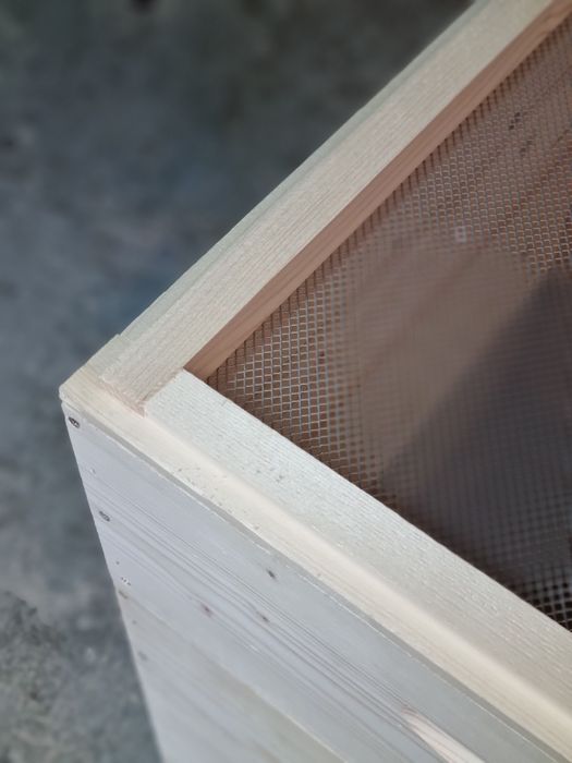 Lazi de albine de vanzare