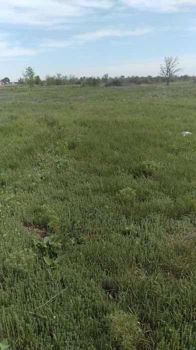 участок за гипермаркетом Анвар