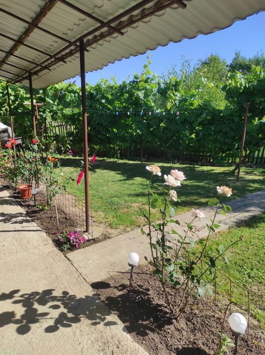 Vând casă în Țebea la 7km de mun Brad