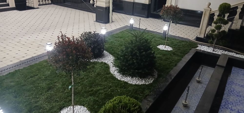 gazon ekish va tayyor gazon yotqizish