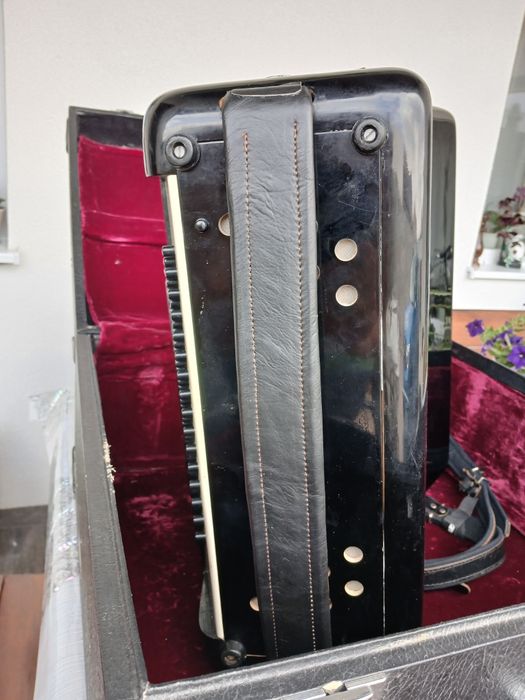 Acordeon Parrot, 80 bași