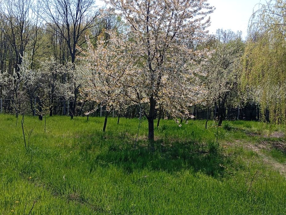 Casa de vânzare în Jud. Argeș.