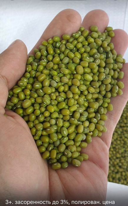 Продам рис Нут фасоль Маш