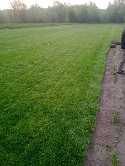 Landshaftni dizayner gazon xizmati