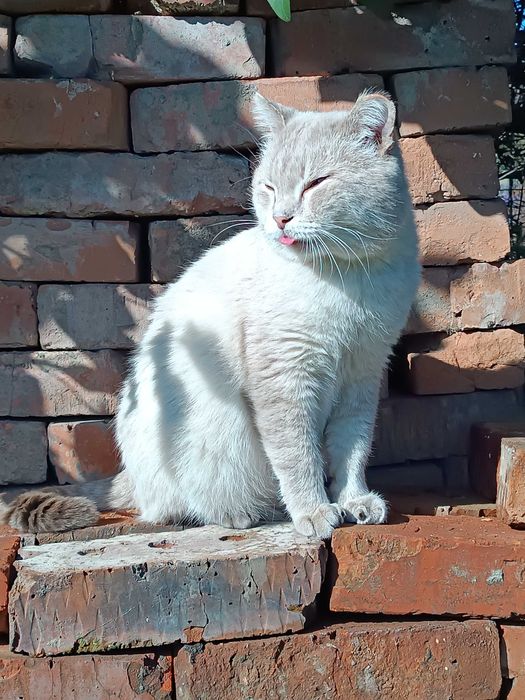 !!!СПАС ЖИЗНЬ Кто то…