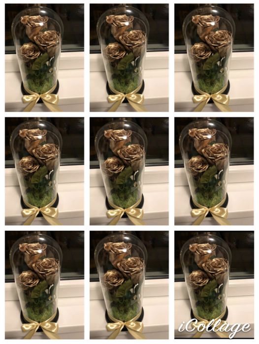 Cadou cupola cu 3 trandafiri criogenati diverse culori 250 lei