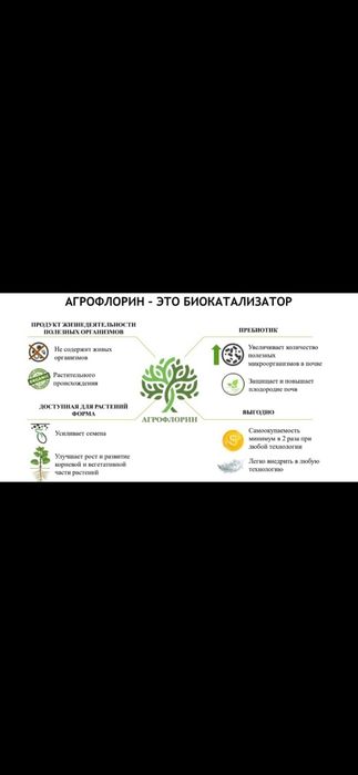 Удобрения для растений Агрофлорин