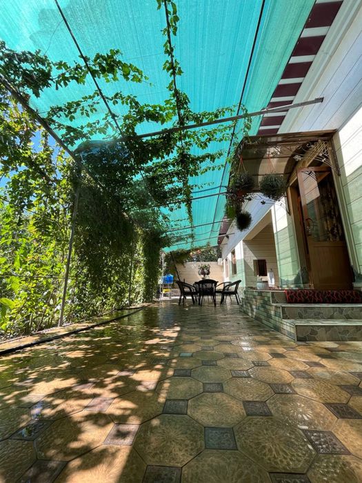 Hovli sotiladi. Koʻchib kirishga tayyor, fayzli, yam-yashil daraxtlar