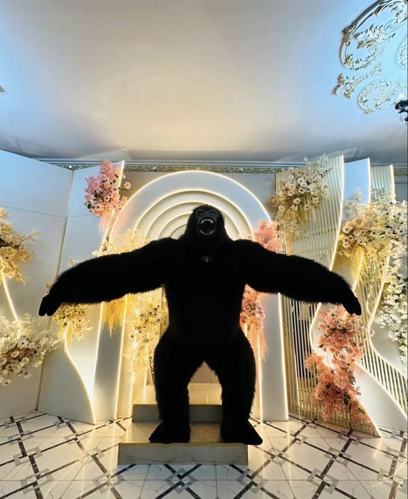 Аниматор/ Горилла / Кинг Конг/ Поздравление/ Туган кун