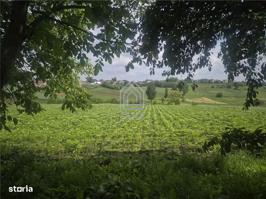 Teren intravilan Moara Nica - zona Scolii