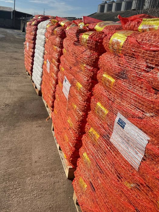 Vand ARPAGIC Olanda - calitate superioara