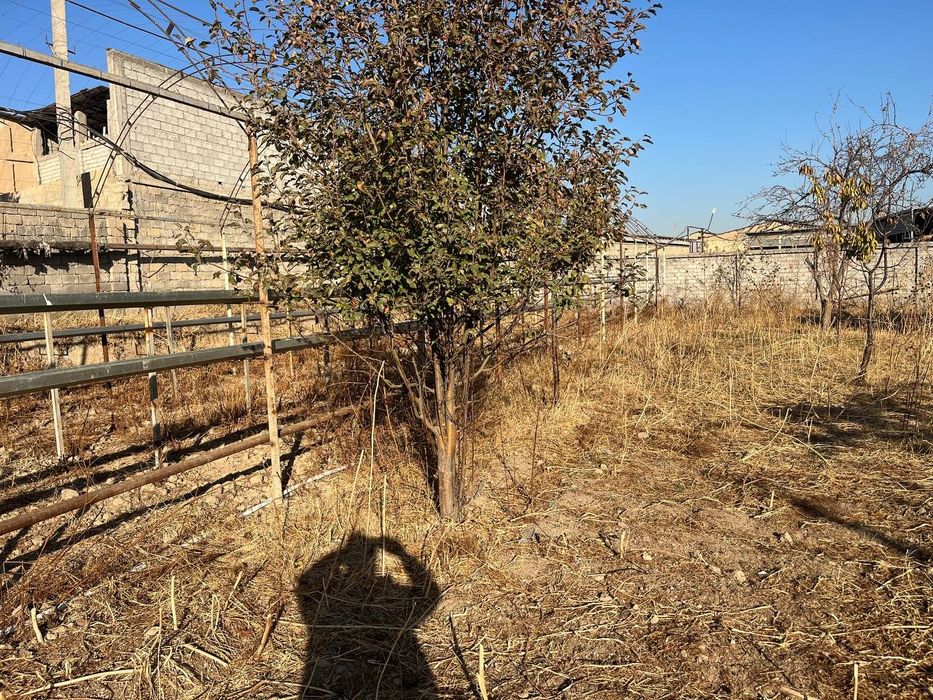 Назарбек Репром 5 сотих