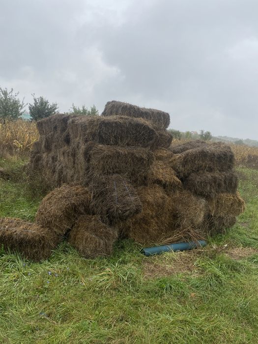 Vand 120 de bucati de baloti mici