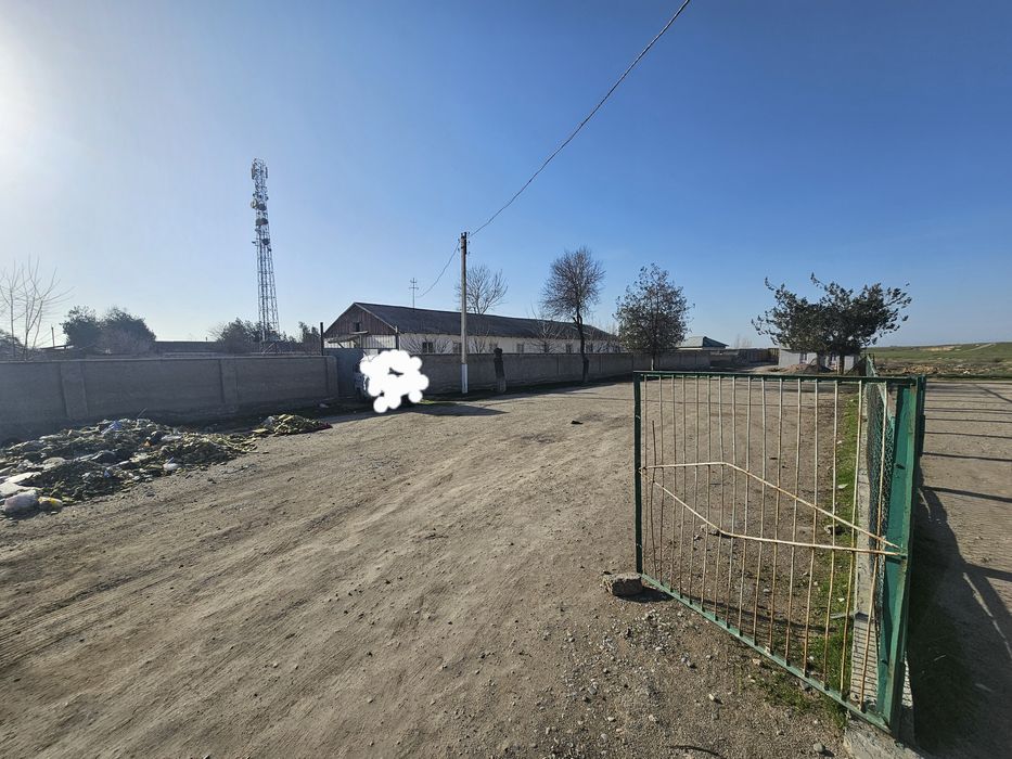 Zarbdor eski bustonda arzonga yer sotiladi