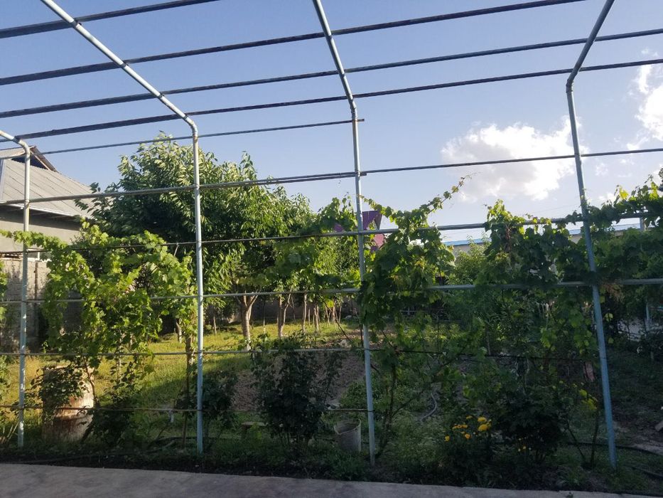 12 сотих уй сотилади