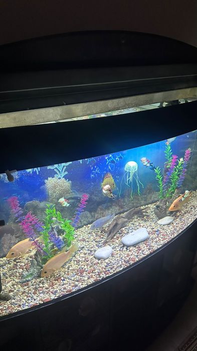 Аквариум 200 литрок
