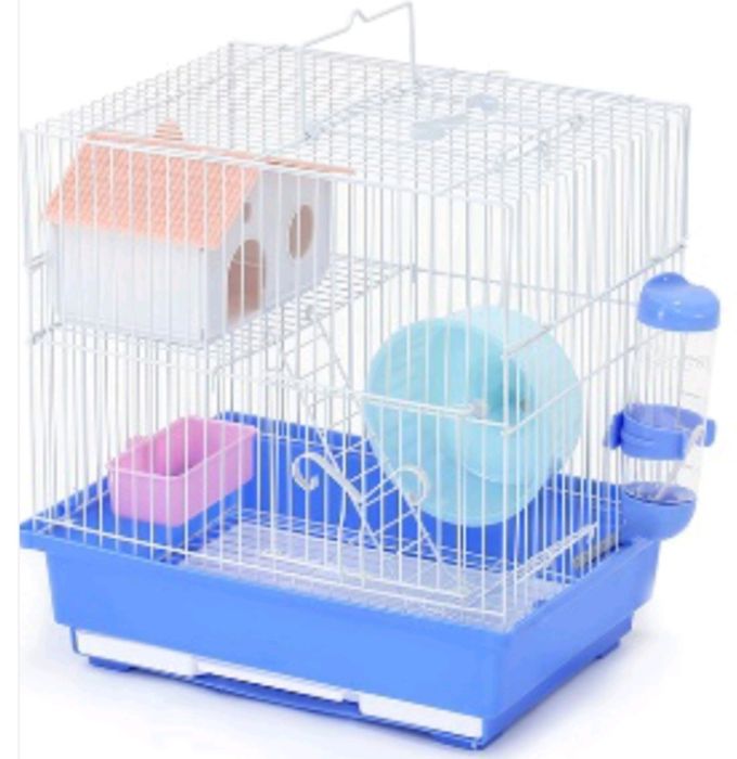 Сирийские хомяки